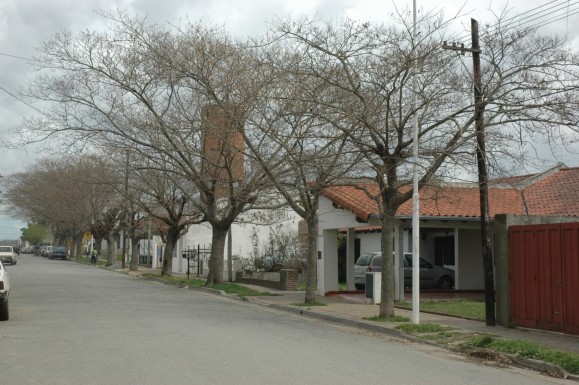 Tapalque