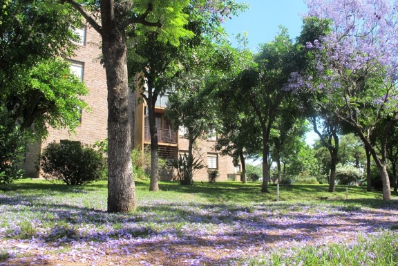 Tapalque